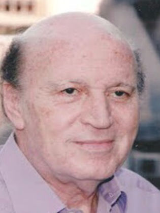 Hassan Abdel Hamid
